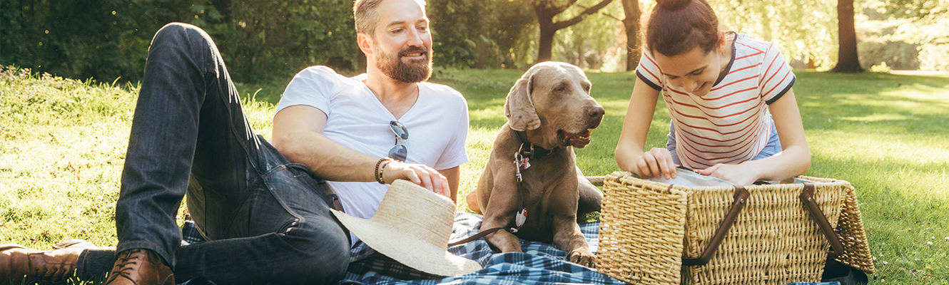 couple and dog having a picnic