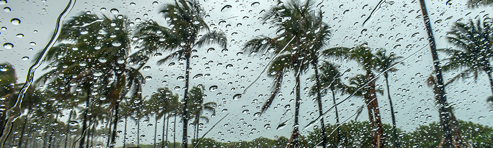 Image of rain and trees blowing in Hurricane