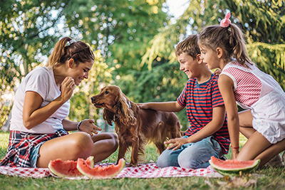 family having picnic